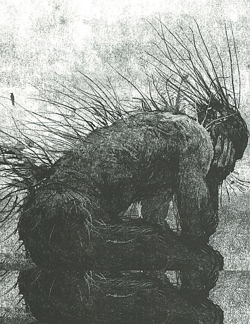 Monochrome strukturierte Illustration einer zotteligen Kreatur mit langem, stacheligem Fell, das an Gras erinnert, ein kleiner Vogel sitzt in der Nähe